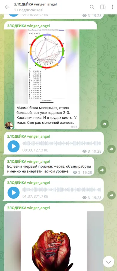 Скриншот 2