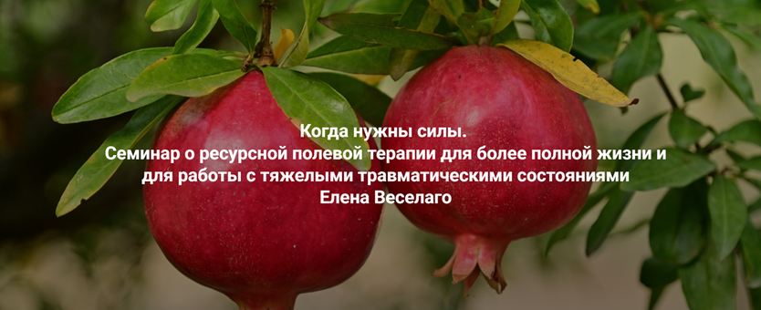 Институт Открытого поля / Елена Веселаго - Когда нужны силы